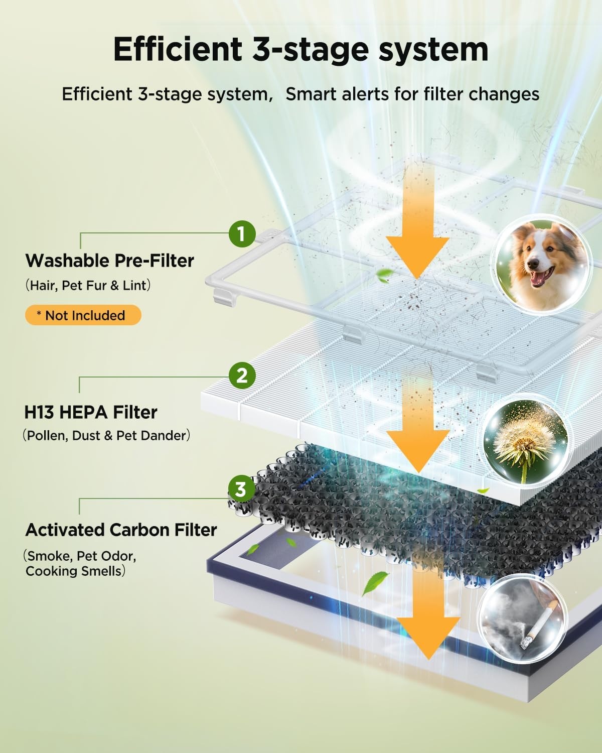 image:image1Pack AP2503 Replacement Filter for KOIOS AP2503 Air Purifier 3in1 H13 True HEPA and Activated Carbon Replacement Filter for Home Large Room Pet Hair Smoke Dust Pollen AP2503 White